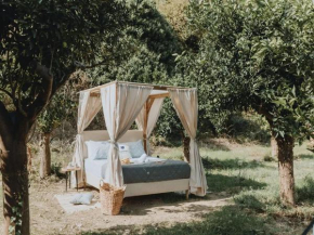 Star Sleep Vryses -Orange Grove